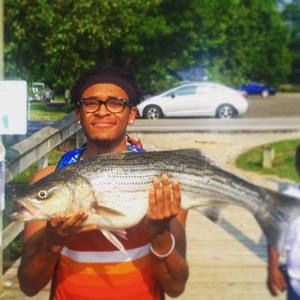 Meet your Posher, Willis